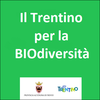 Il Trentino per la Biodiversità-progetti tutela e valorizzazione della biodiversità di interesse agricolo e alimentare,entro il 30 settembre 2020