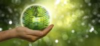 Premio Arge Alp per la protezione del clima: domande fino al 15 giugno 2022 - Energia verde