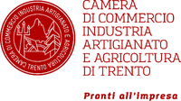 giovedì 20 febbraio, ore 10.30-Camera di Commercio Trento: La struttura del sistema imprenditoriale trentino