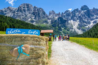 Dal 21 al 23 giugno, LATTE IN FESTA - PRIMIERO Val Venegia, San Martino di Castrozza e Mezzano    