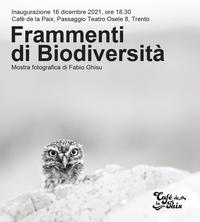 Frammenti di biodiversità - mostra fotografica - dal 16 dicembre al 31 gennaio 2022