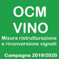 OCM Vino-misura ristrutturazione e riconversione vigneti prorogato il termine di presentazione delle domande per campagna 2019/2020 al 1 luglio 2019