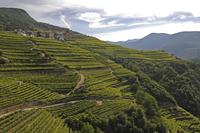 Paesaggi rurali storici: triplo riconoscimento per il Trentino