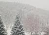 Precipitazioni diffuse e neve fino a 800 metri - [neve-Archivio Ufficio Stampa PAT]