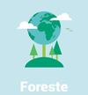 Stasera a Grumes Presentazione del PSR Trento 2014-2020 - Misure Forestali