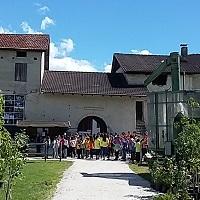 Azienda Spagolla Borgo Valsugana 20 maggio 2016 - foto di proprietà del Servizio Poliche Sviluppo Rurale - PAT