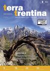 I boschi del Trentino ripartono dopo Vaia - Terra Trentina n. 1 - 2019
